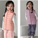 ÁO GILE PP ELEPHANT 8 MÀU M26