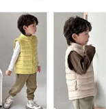 ÁO GILE PP ELEPHANT 8 MÀU M26