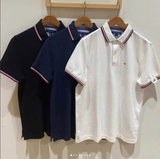 ÁO POLO NAM KẺ VIÊN TOMMY REGULAR FIT 78JA019