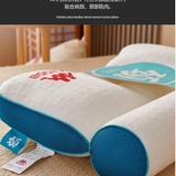 GỐI CÔNG THÁI HỌC KAPPA 2 MÀU