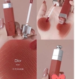 SON DIOR 541 NATURAL SIENNA ĐỎ NÂU ĐẤT