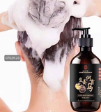 SET 2 DẦU GỘI GỪNG HÀ THỦ Ô ĐÔNG NHÂN ĐƯỜNG 500ML