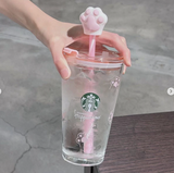 COMBO 3 CHAI LATTE SỮA DỪA STARBUCKS KÈM CỐC THỦY TINH CHÂN MÈO