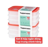 SET 6 HỘP TUP TRỮ ĐÔNG DẺO DẸT 675ML