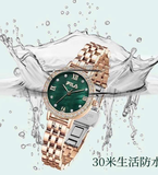 ĐỒNG HỒ FILA MẶT XANH FLL38-6603-102F
