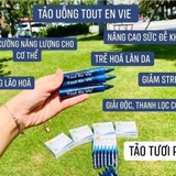 TẢO TƯƠI PHÁP TOUT EN VIE
