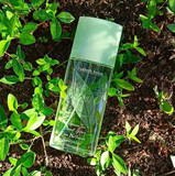 NƯỚC HOA ELIZABETH ARDEN GREEN TEA 30ML FULLBOX