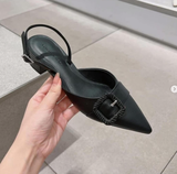 GIÀY CNK TRƯNG BÀY - 60580291