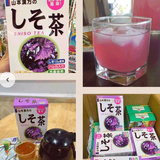 TRÀ TÍA TÔ SHISO NHẬT