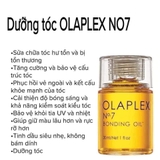 TINH DẦU DƯỠNG TÓC OLAP.LEX NO.7 7,5ML FULLBOX
