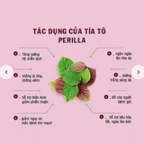 TRÀ TÍA TÔ SHISO NHẬT