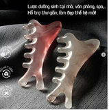 SET LƯỢC NHỰA SÁP ONG MASSAGE 8 MÓN