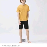 BỘ CỘC NAM NHIỀU MÀU GU 372-3488