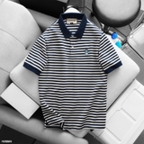 Polo Fapas Regular Coolbear SS2