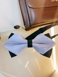 Nơ Vest nam cao cấp
