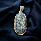 Dinosaur Bone