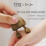 Cây Gua Sha Sandalwood Tự Nhiên