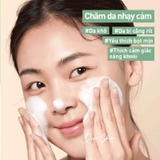 Innisfree Sữa Rửa Mặt Green Tea Foam Cleanser 150ml