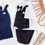 bo-so-mi-phoi-gile-cai-no-co-cho-be-trai-mamla