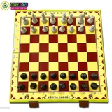 Đồ chơi cờ vua bằng nhựa cao cấp hỗ trợ phát triển tư duy, khả năng sáng tạo cho trẻ