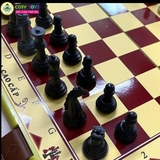 Đồ chơi cờ vua bằng nhựa cao cấp hỗ trợ phát triển tư duy, khả năng sáng tạo cho trẻ