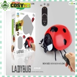 Đồ chơi mô hình con bọ cánh đỏ có điều khiển xòe cánh, kèm nhạc và đèn cho bé khi di chuyển