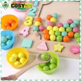 Đồ chơi gắp hạt kèm câu cá - thả số hình khối, xâu dây bằng gỗ thông an toàn cho bé