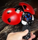 Đồ chơi mô hình con bọ cánh đỏ có điều khiển xòe cánh, kèm nhạc và đèn cho bé khi di chuyển