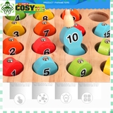 Bộ đồ chơi câu cá toán học nam châm bằng gỗ an toàn cho bé