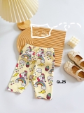 QUẦN LEGGING COTTON HÀN BG (QL25)