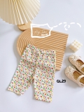 QUẦN LEGGING COTTON HÀN BG (QL29)