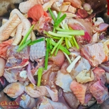 Thịt Gà Tươi - Gà Thả Vườn