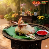gà cúng đà nẵng