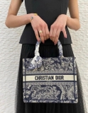 Túi Dior tote small