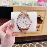 Đồng hồ Michael Kors Whitney