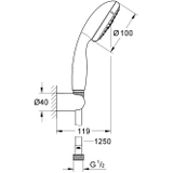 Sen tay Grohe Tempesta 100 - 27799000