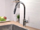 Vòi rửa bát Hansgrohe Focus 240