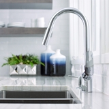 Vòi rửa bát Hansgrohe Focus 240