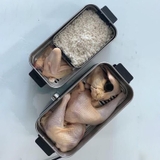 Nồi hấp tự động WMF 2 tầng