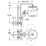 Sen cây Grohe Tempesta Cosmopolitan System 250 26670000