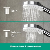 Sen cây Hansgrohe Crometta S 240 EcoSmart 27268000