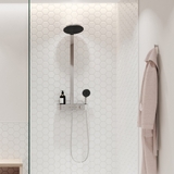 Sen cây Hansgrohe Pulsify S 260 EcoSmart (24241000, 24241670, 24241700)