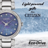 Citizen EM0840-59N Watch For Women