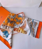 Khăn lụa Hermes H001829S 01