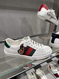 Giày Gucci