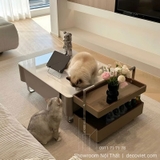 Bàn Sofa Nhập Khẩu 363S