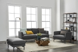 Ghế Sofa 2234S