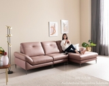 Sofa Đôi Nhập Khẩu 4197S