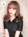 C8161 BỘ LỬNG XOĂN DỢN ĐUÔI