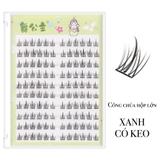 MI CÔNG CHÚA HỘP LỚN(2 LOẠI CÓ KEO)